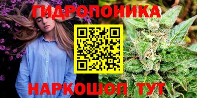 меф Дубна